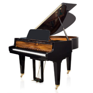 Schimmel Flügel - SAP 7864