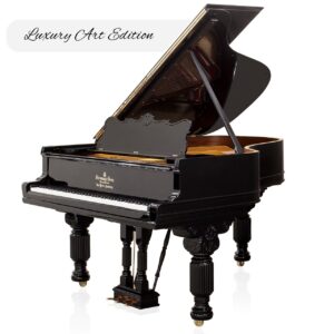 Steinway & Sons - SAP 10480