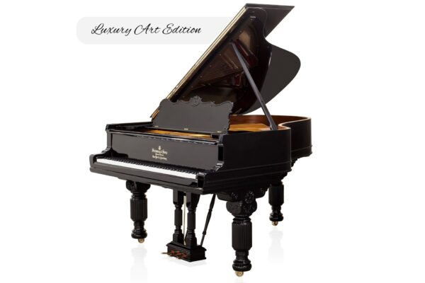 Steinway & Sons - SAP 10480