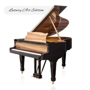 Steinway & Sons - SAP 10564