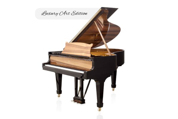 Steinway & Sons - SAP 10564