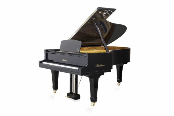 Blüthner - SAP 7329