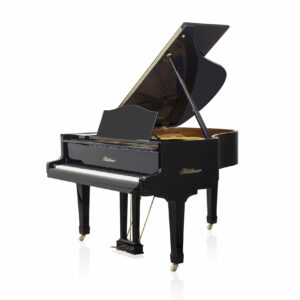 Blüthner SAP-10236
