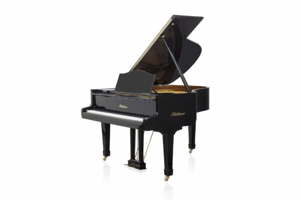 Blüthner SAP-10236