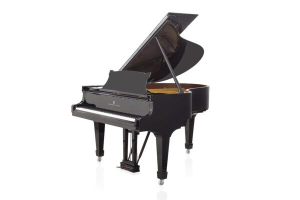 Steinway & Sons - SAP 10939