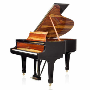 Steinway & Sons - SAP 10479